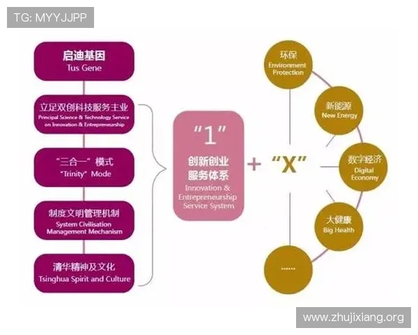 华体会平台网作为国米赞助商在体育营销中的创新实践与成功案例分析 华体会平台网作为国米赞助商在体育营销中的创新实践与成功案例分析