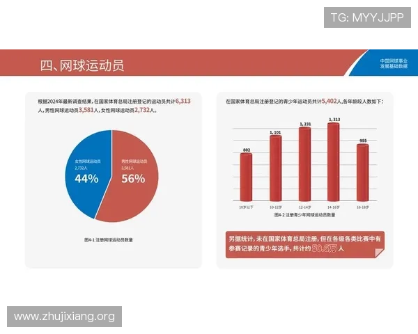 如何通过华体会hth官网获取最新体育资讯与数据